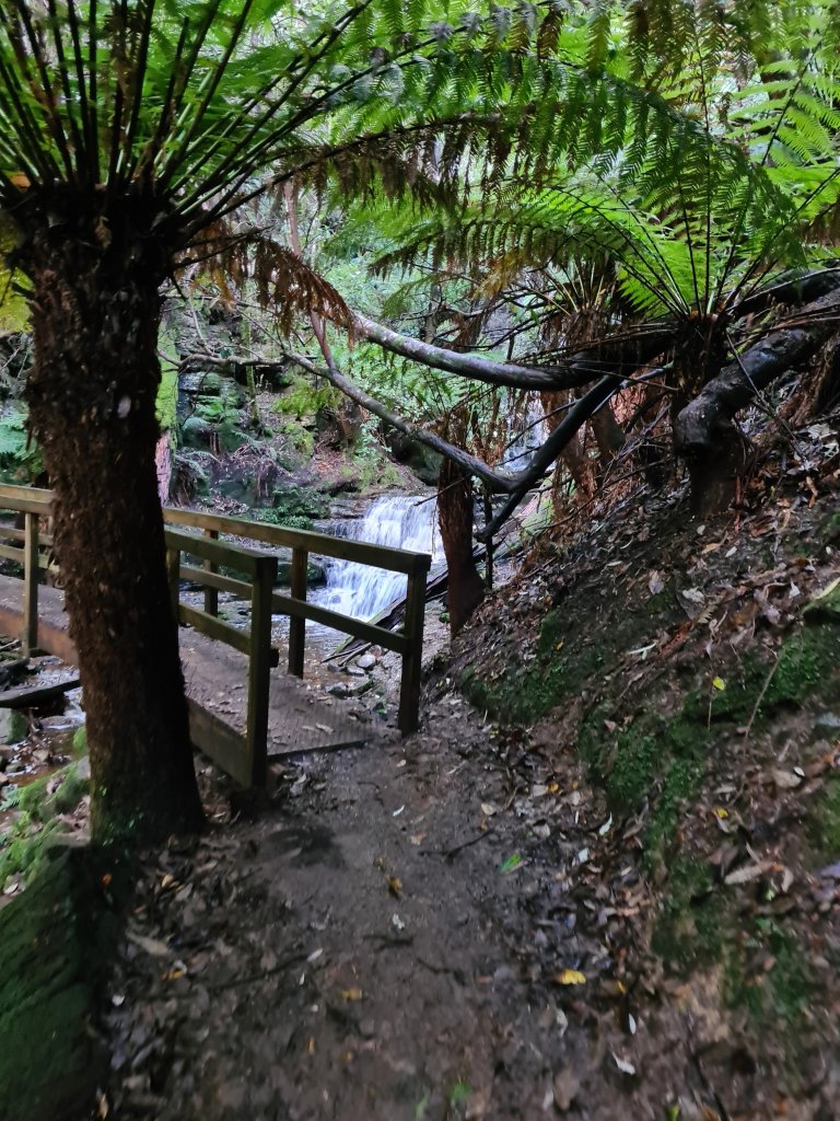 A manfern hangs in front of a bridge. The falls are just visible as a blurr of white through the gaps in the bridge's safety rails. 