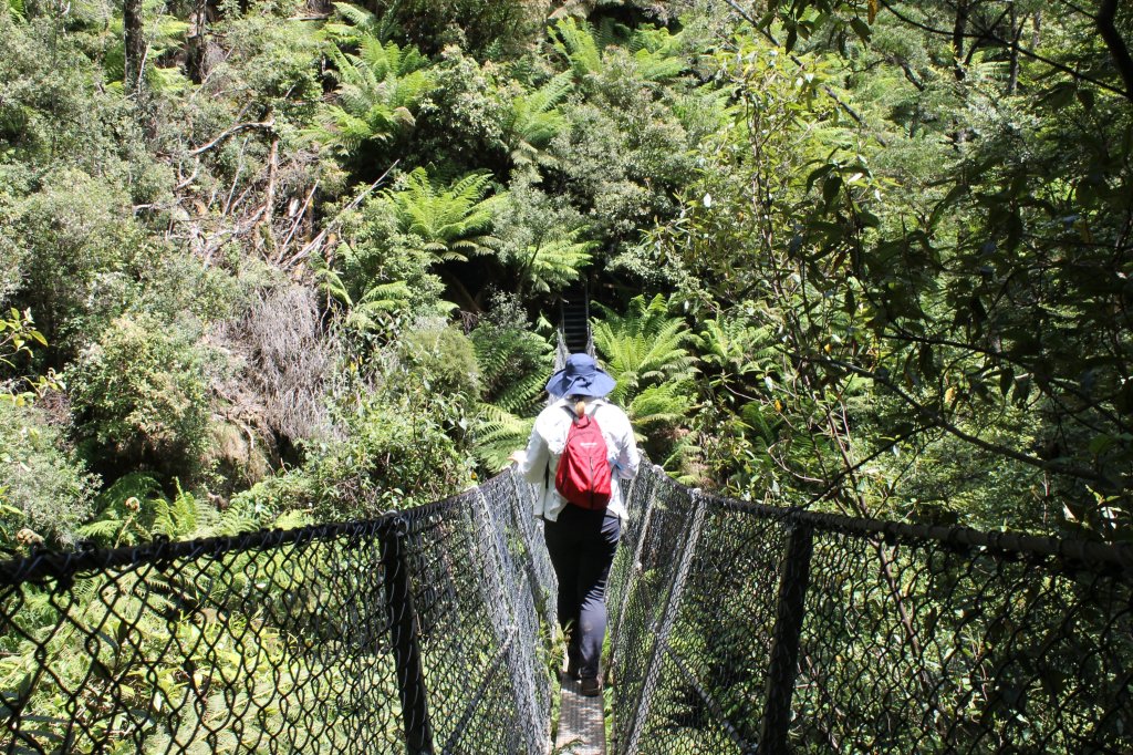 Sapphire wearing dark pants and a white top, carrying a red back pack, crosses the narrow bridge suspended over the forest canopy. 